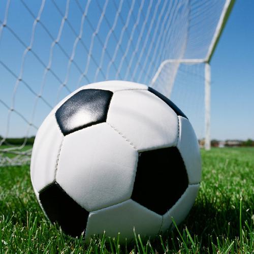 便宜站群服务器