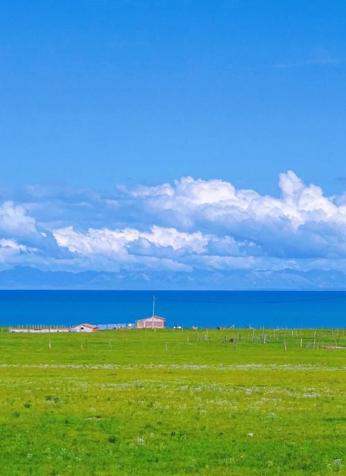 站群一般是什么系统